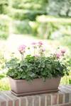 barcelona trough 90cm taupe